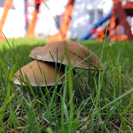 Apartamenty Morski Brzeg - Sauna, Balia Władysławowo Eksteriør billede